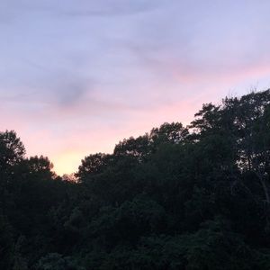 Meet your Posher, Skye